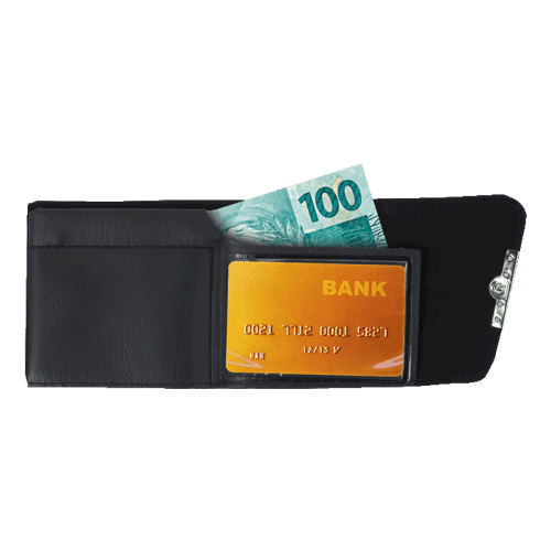 BF2749 - PVC Pinch Wallet