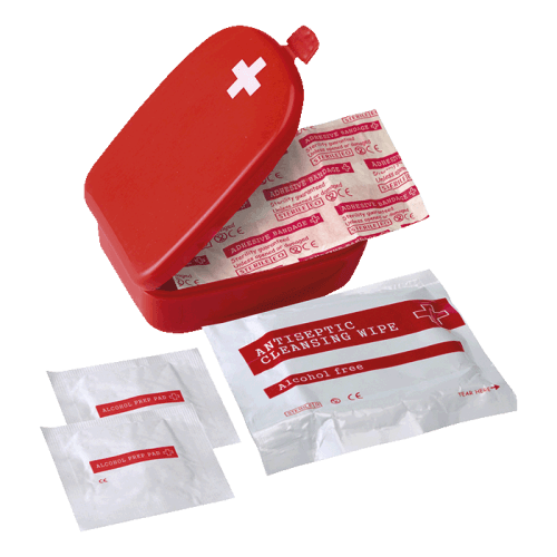 BH1387 - First Aid Kit in Plastic Case